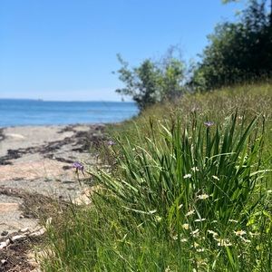 Meet your Posher, Marcie